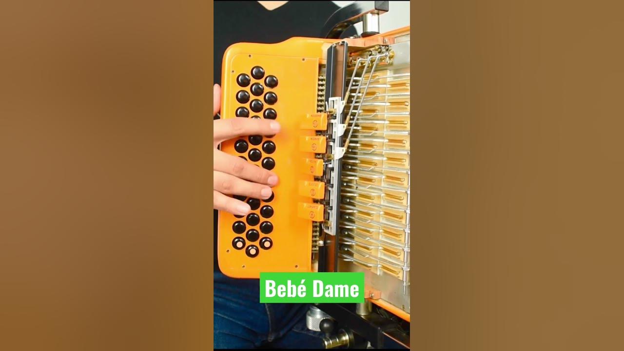 Bebé Dame. Fuerza Regida x Grupo Frontera #acordeon #accordion #regional #regionalmexicano