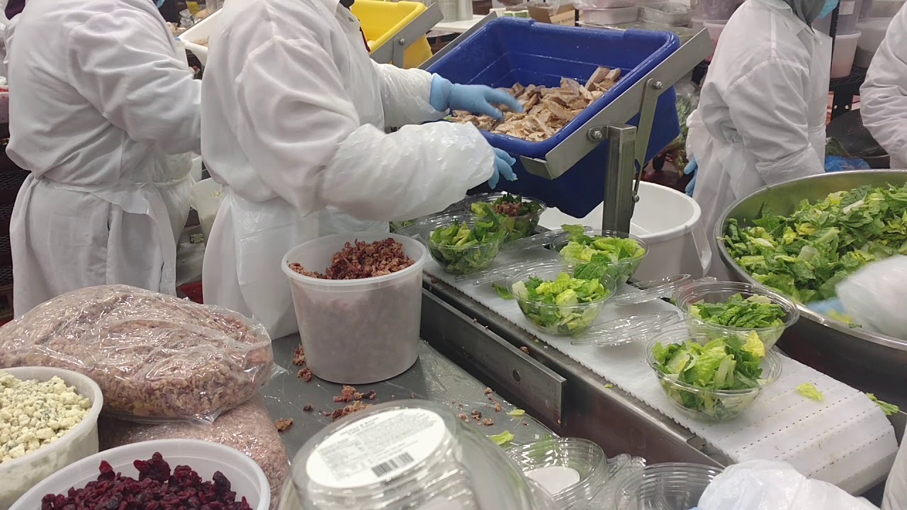 Assembly Food Conveyor (Part 3) - Hi-Standard Machine