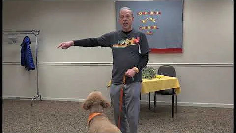 Basics of Dog Training Featuring Ben E Part 1