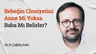 Bebeğin Cinsiyetini Anne Mi Yoksa Baba Mı Belirler? Resimi