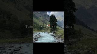 Tainu Itna Mai Pyaar Karaan | Soch na sake | #airlift #akshaykumar #lyricssong #ashthetics #nature
