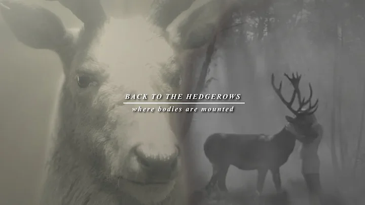 Passerine | Shrike | “ People have names for things they deem important. ” [ Read description ]