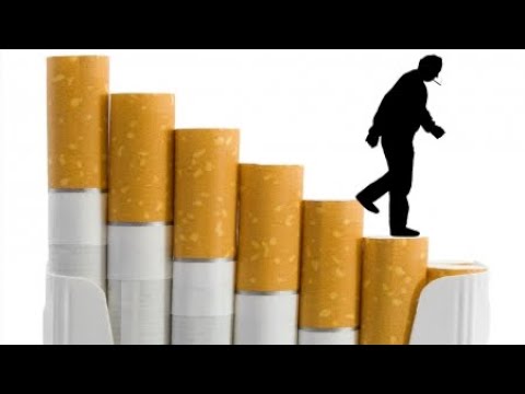 세계흡연율 20 로 감소세 년 700만 명 사망 YTN 사이언스 