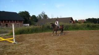 MVI_2435.AVI