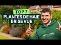 7 PLANTES POUR UNE HAIE BRISE VUE Conseils D Entretien Pour Une Haie Parfaite mp3