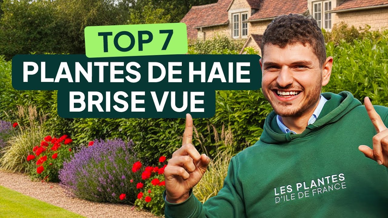 7 PLANTES POUR UNE HAIE BRISE-VUE 🌿 + Conseils d’entretien pour une haie parfaite