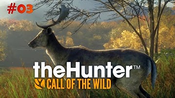 theHunter: Call of the Wild™ Walkthrough Gameplay Part 3[Layton Lake District]