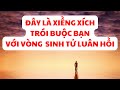 Quy Luật Tái Sinh, Con Người Chuyển Kiếp Cao Hơn Hay Thấp Hơn Loài Người? Cách Để Thoát Vòng Sinh Tử