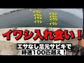 イワシ入れ食い!足元サビキで釣れすぎたw