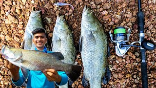 Awesome Fishing || Barraamundi Fishing|| Unique Fishing|| Village Fishing