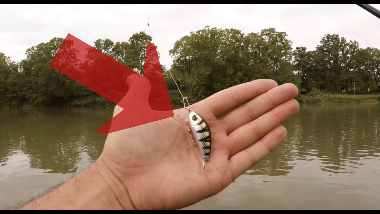 This Lure Caught EVERYTHING On The Grand River YouTube