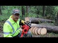 Tool Tuesday Milwaukee M18 Fuel 16 in. Cordless Chainsaw