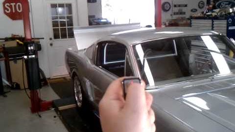 Silverfox Mustang - Digital Guard Dawg