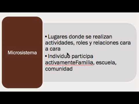 Vídeo: Microsistemas Hepáticos In Vitro Para Respuesta Farmacológica