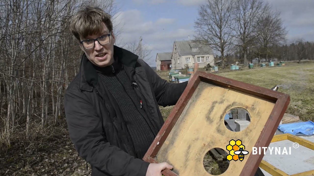 Dr. Justinas Kretavičius: Bičių pasiruošimas medunešiui