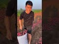 Cuộc sống thật không dễ dàng p165 #shorts