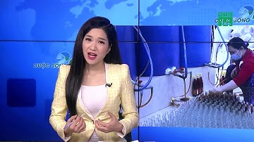 Ninh Thuận: làng nghề nước mắm cà ná đón tết