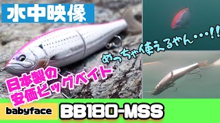 水中映像】安価なビッグベイトでも実力は十分！その名はBB180-MSS