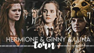 Hermione &amp; Ginny &amp; Luna | Torn