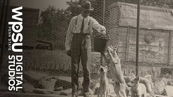How the Lobo Wolf Was Saved From Extinction in Kan...
