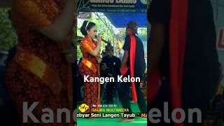 Download Lagu Kangen Kelon Voc.Nyi Violin Alsiwi #studior #kangenkelon #margolaras MP3