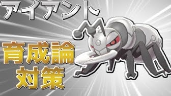 アイアント Youtube