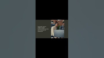 Cardano ADA Developers Ramp Up Efforts Despite DeFi Downturn