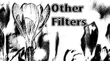 #90 Video, High-pass, Offset, Custom, Minimum, Maximum and Other Filters in adobe Photoshop