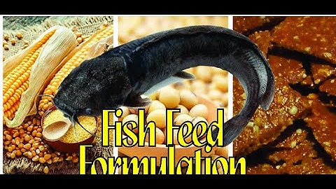 How to Make your 3 mm Fish feed Step by Step Guide