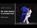 De Ashi Barai VS An Extreme Right Stance | Dimitri Dragin | Superstar Judo