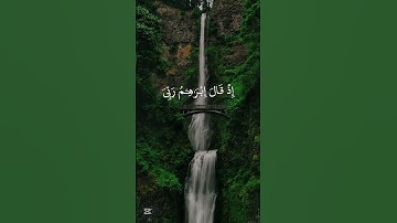 الم ترى الى الذي حاج ابراهيم ربه #تلاوة_خاشعة #تلاوة_هادئة