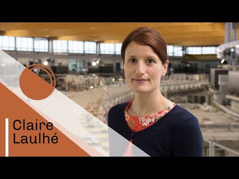 Claire Laulhé, Enseignante-chercheuse