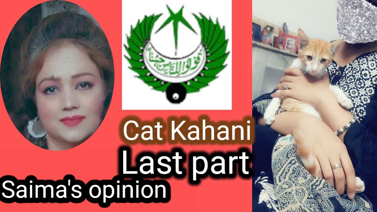 Cat Kahani Last part