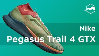 Кроссовки Nike Pegasus Trail 4 GTX. Обзор