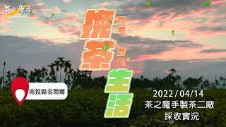 《茶の魔手》製茶二廠-1110414採茶菁記實