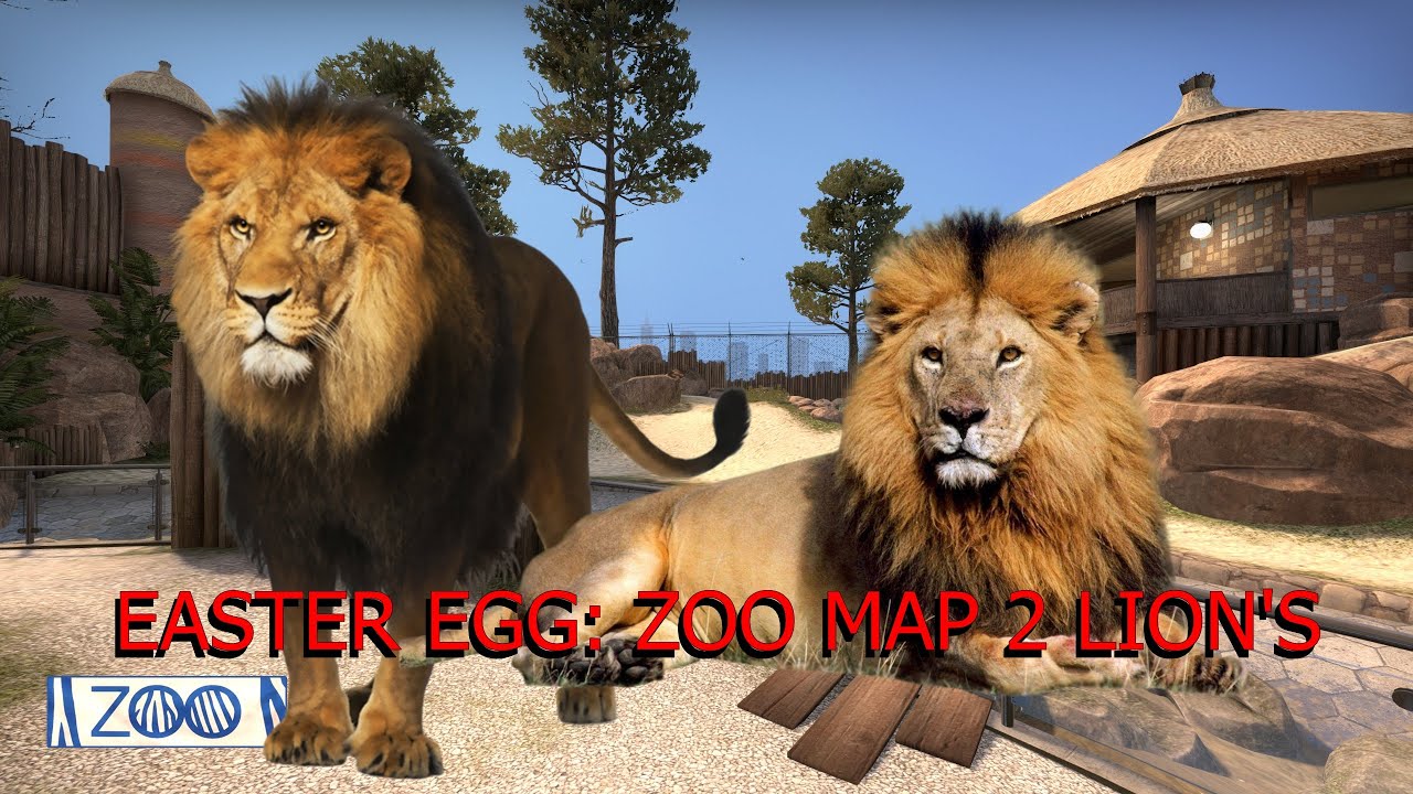 CSGO: EASTER EGG IN CSGO MAP ZOO LION - YouTube