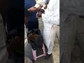 سعر القورو ١٠٠ ريال