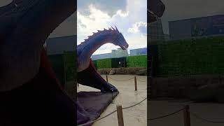 dragones