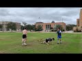 WySpike Noguez/LMowry vs Burrows/Laughlin | Maroon and White 9 | Pro Roundnet (Spikeball) Game 2