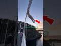 He Pretended To Jump Off The Bridge… Then Did The Unthinkable 😳🌉