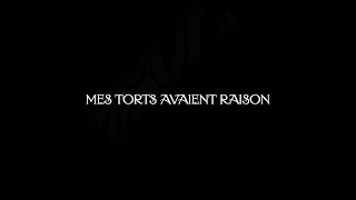 Video thumbnail of "S.Pri Noir - Mes torts avaient raison (Visualizer)"