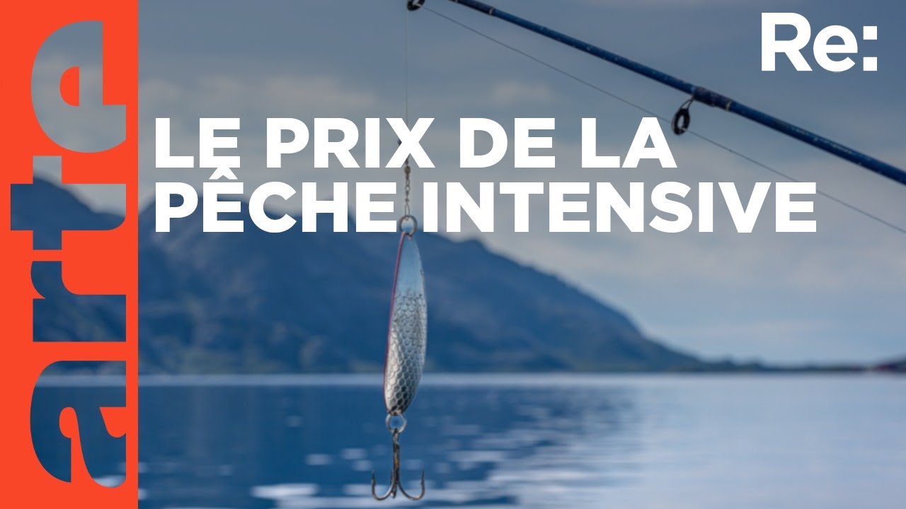 Restaurer les fonds marins côtiers en Écosse | ARTE Regards