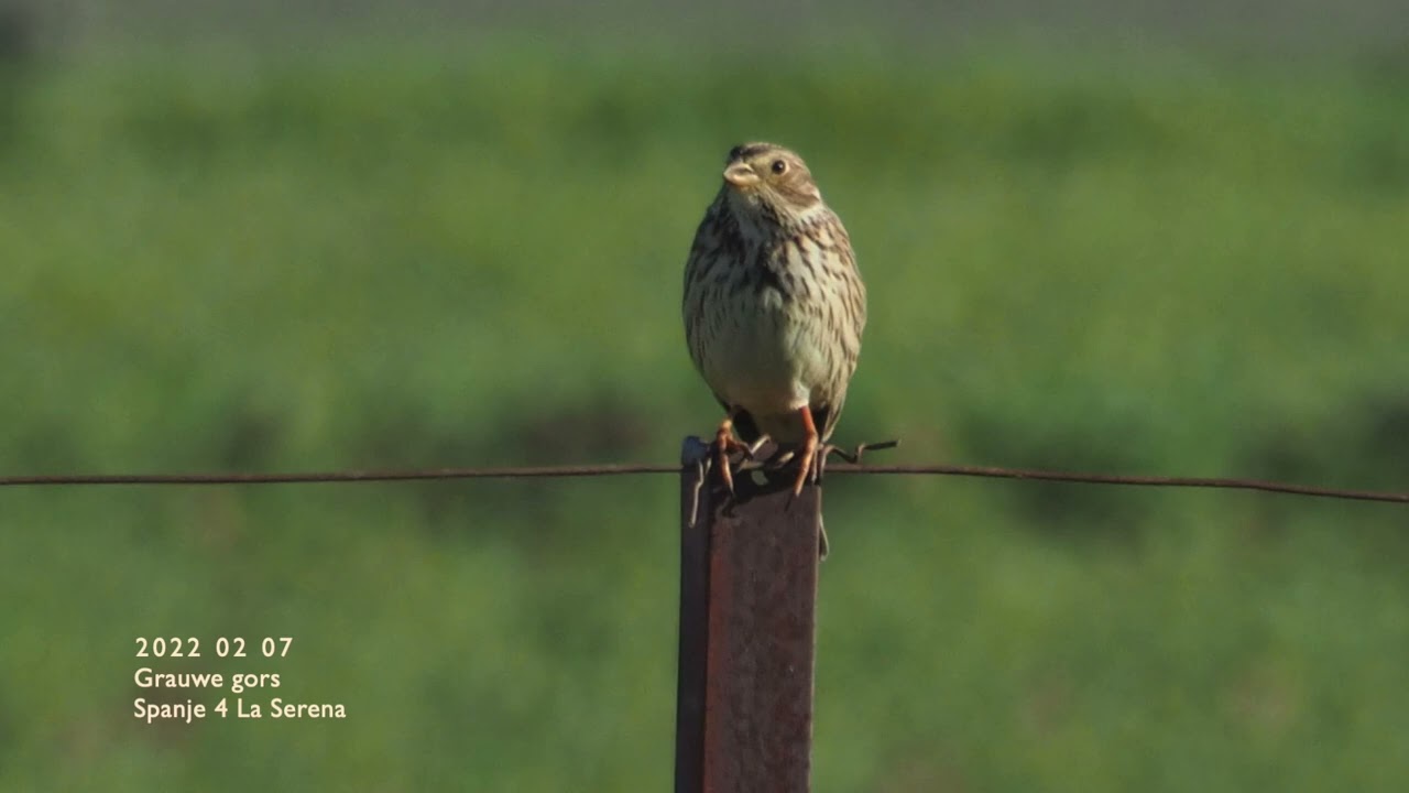 2022 02 07 Spanje 4 La Serena Monfragüe Embalse de Valdecanas