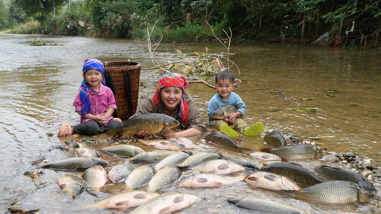 How to catch fish, trap giant river fish along with a small son to sell - Cooking food for piglets