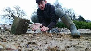 Primitive Survival Trap: Figure 2 deadfall