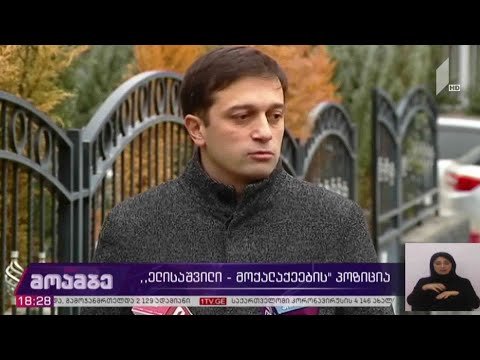 „ელისაშვილი - მოქალაქეების“ პოზიცია