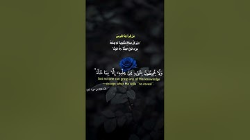 عبد العزيز سحيم آية الكرسي تلاوة خاشعة ومؤثرة جداً