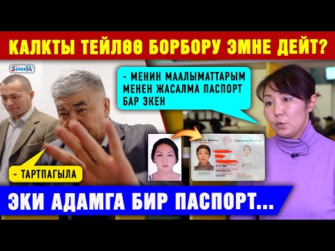 Video: Тейлөө ишмердүүлүгүн кантип уюштуруу керек