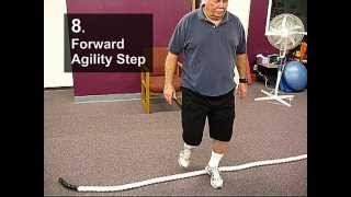 Fall Prevention Exercises (Balance Series) - Agility Stepover