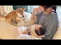 生後1ヶ月ベビーの1日。みんなに可愛がられすくすく成長中